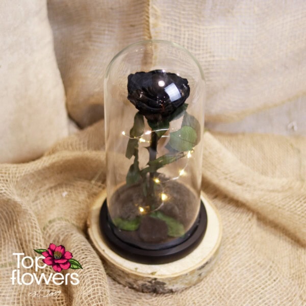 Eternal Black Rose in a Glass Dome - Image 6