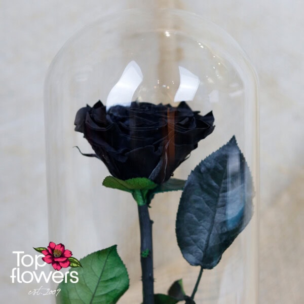 Eternal Black Rose in a Glass Dome - Image 7