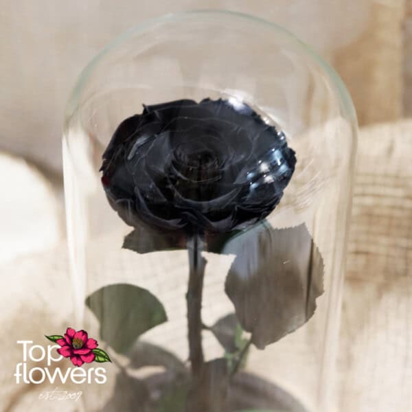 Eternal Black Rose in a Glass Dome - Image 4