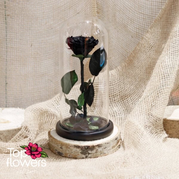 Eternal Black Rose in a Glass Dome