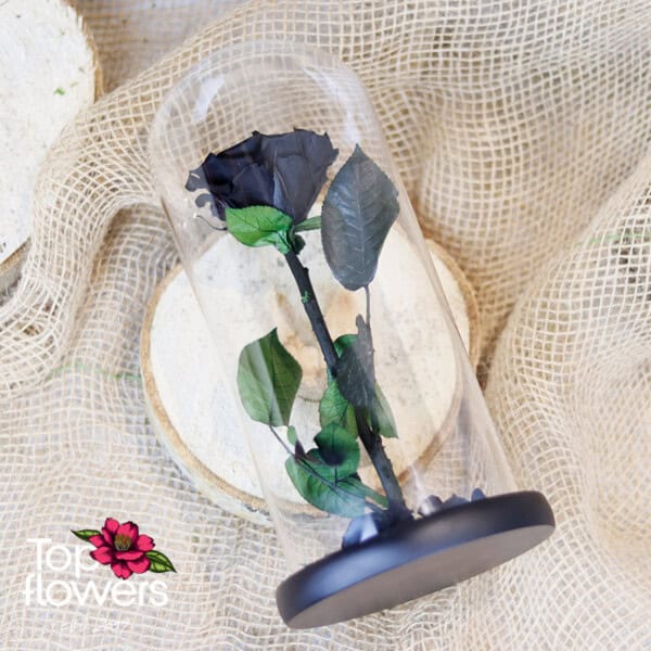 Eternal Black Rose in a Glass Dome - Image 8