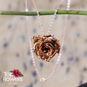 Pomander rosebud | Copper necklace