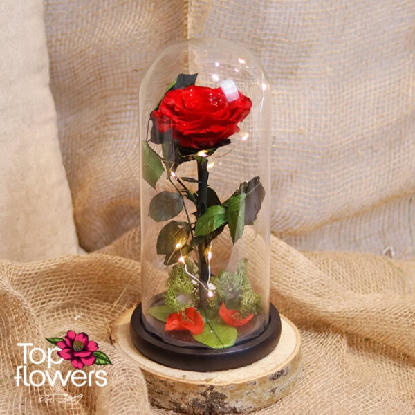 Eternal Red Rose in a Glass Dome