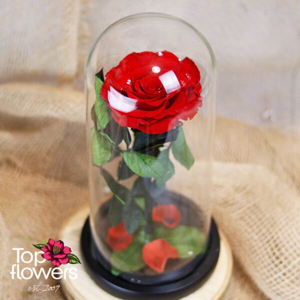 Eternal Red Rose in a Glass Dome