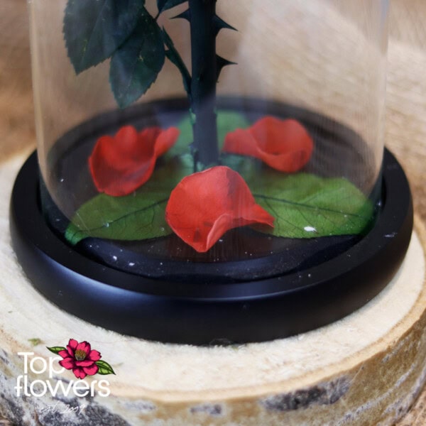 Eternal Red Rose in a Glass Dome