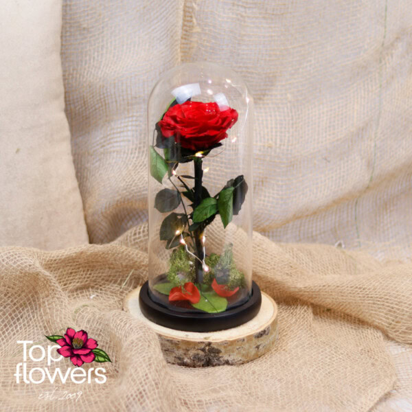 Eternal Red Rose in a Glass Dome