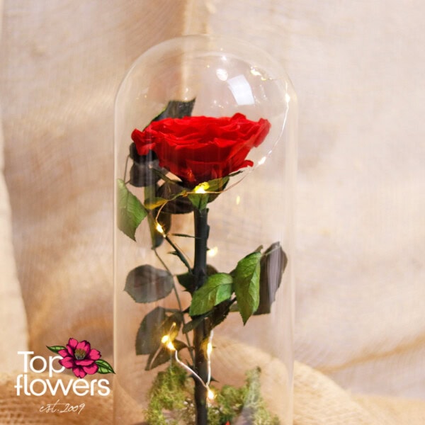 Eternal Red Rose in a Glass Dome