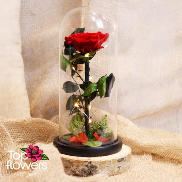 Eternal Red Rose in a Glass Dome