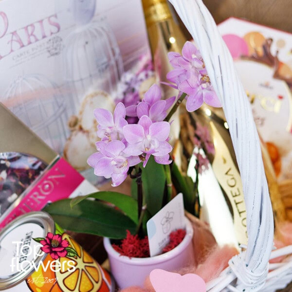 Gift Basket | V