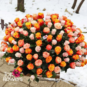 171 Multicolored Roses | Basket