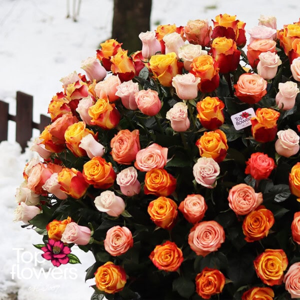 171 Multicolored Roses | Basket - Image 4