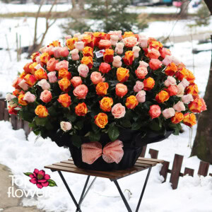 171 Multicolored Roses | Basket