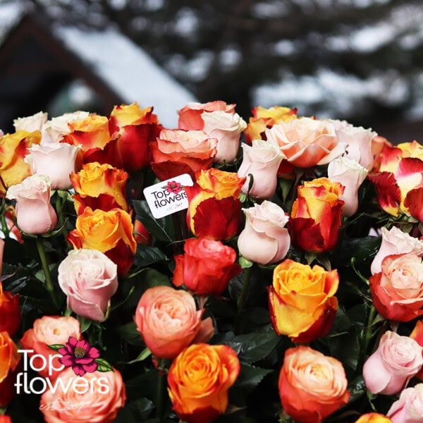 171 Multicolored Roses | Basket - Image 7